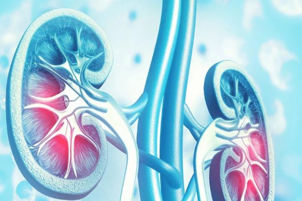 ¿Qué es la insuficiencia renal?